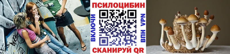 Галлюциногенные грибы мухоморы  дарнет шоп  Барабинск 